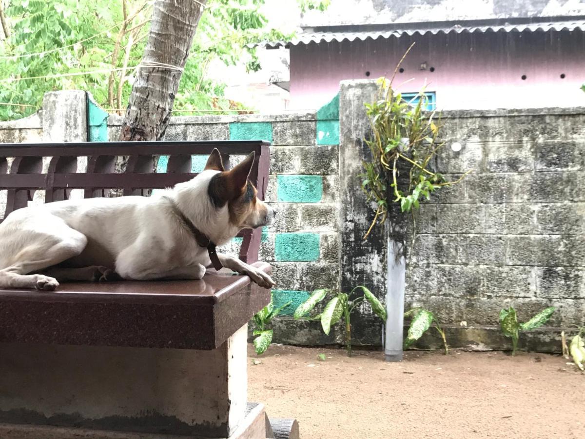 Beachaholic Homestay Alappuzha Екстер'єр фото
